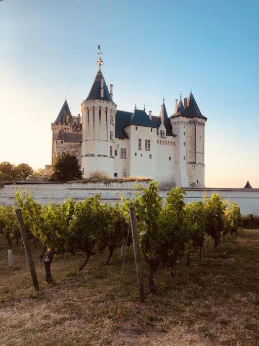 The House Of Celeste Saumur Bagian luar foto